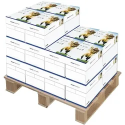 tecno 1/2 Palette Multifunktionales Druckerpapier »Dynamic« A4 80 g/m2 50000 Blatt weiß
