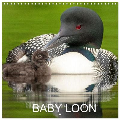 BABY LOON (Wall Calendar 2027 12 × 12 Inch) CALVENDO 12 Month Wall Calendar