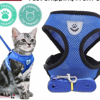 The Cart Load Adjustable Cat Dog Harness, Reflective Control Vest, Leash For Dogs, Pet Safety blue s