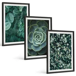BILDER SET 3er Set - 40x60 cm Schwarzer Rahmen - Sukkulenten