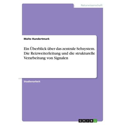 Ein Überblick über das zentrale Sehsystem. Die Reizweiterleitung und die strukturelle Verarbeitung von Signalen, Taschenbuch von Malte Hundertmark,