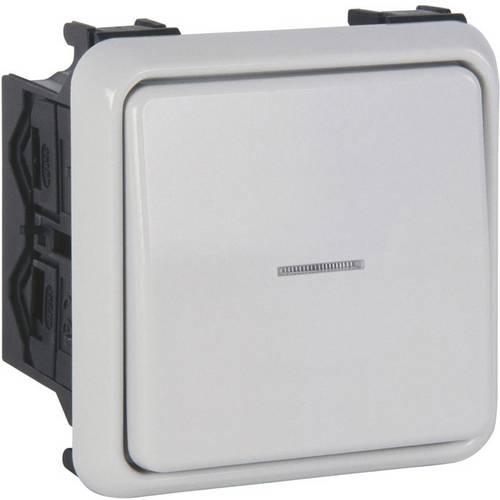 Manuflex ZB0933 Ein-Aus-Schalter mit Kontrolllampe fertig montiert für verdrahteten Energiekanal, BxTxH= 75 x 50 x 75mm