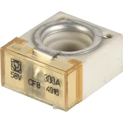 LITT 15508926301 - KFZ-Sicherung, CF8, 300 A