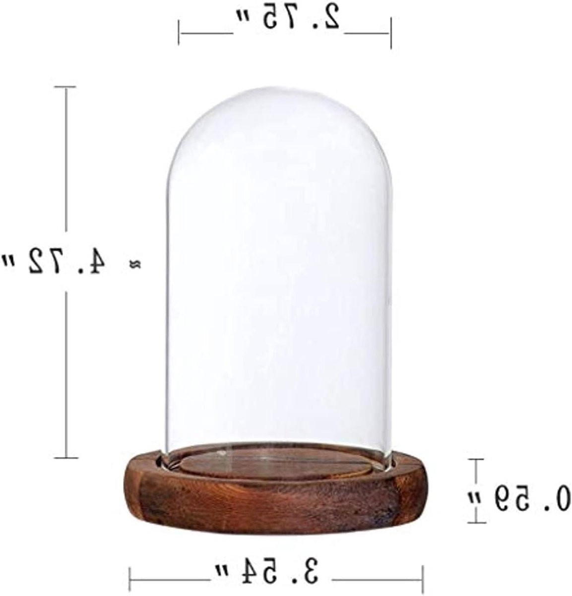 Glazen Koepel Decoratieve Stolp Bruin
