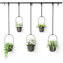Triflora 5 Hängende Blumentöpfe schwarz