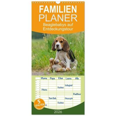 Familienplaner 2026 - Beaglebabys auf Entdeckungstour mit 5 Spalten (Wandkalender, 21 x 45 cm) CALVENDO