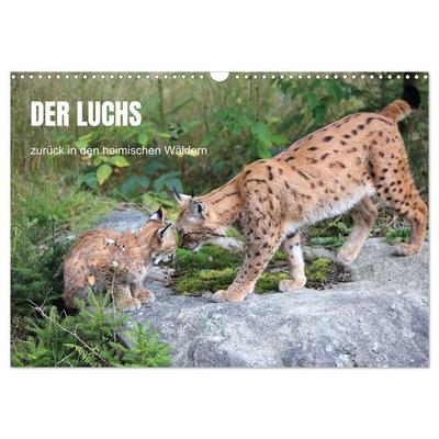 Der Luchs, zurück in den heimischen Wäldern (Wandkalender 2027 DIN A3 quer), CALVENDO Monatskalender