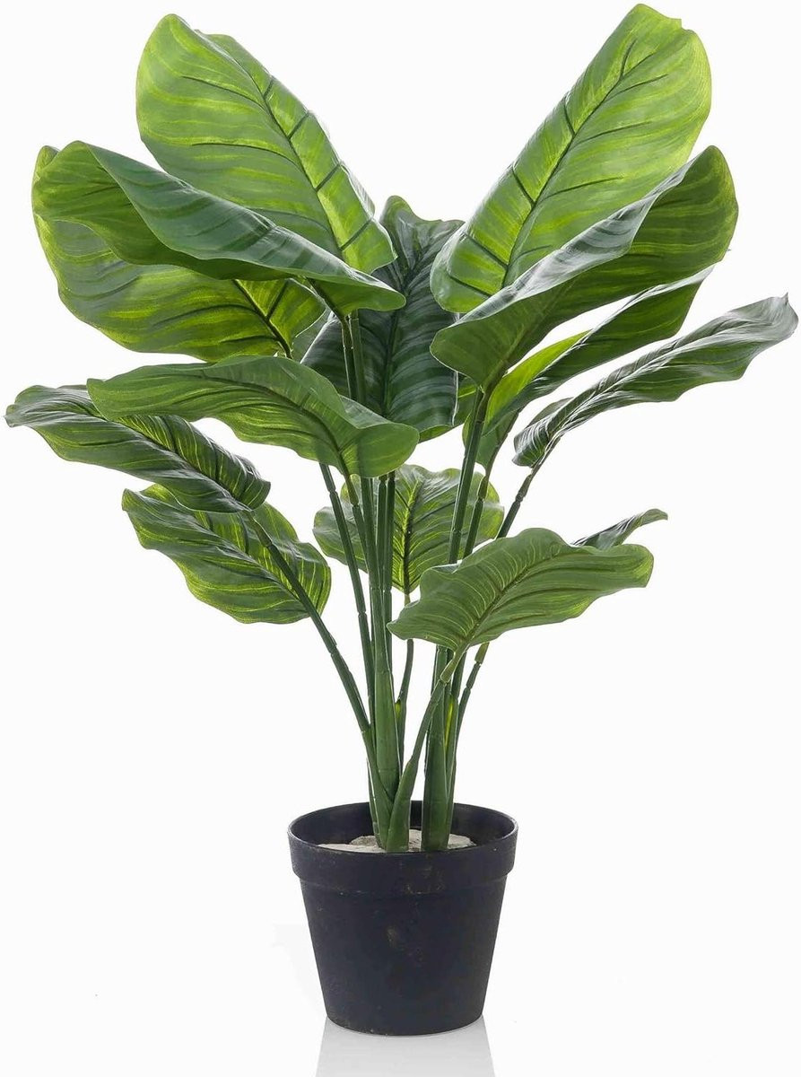 Realistische Kunstplant Calathea - Groen Grijs - Hoogte: 70 cm