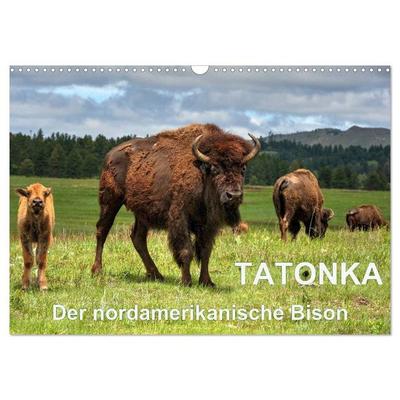 TATONKA Der nordamerikanische Bison (Wandkalender 2027 DIN A3 quer), CALVENDO Monatskalender