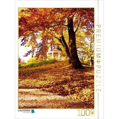 CALVENDO Puzzle SCHÖNES SCHWERIN | 1000 Teile Lege-Größe 64x48cm Foto-Puzzle für glückliche Stunden