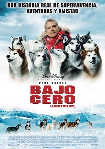 Frank Marshall - Bajo Cero (Eight Below) [Spanien Import] - Preis vom 16.10.2026 11:41:07 h