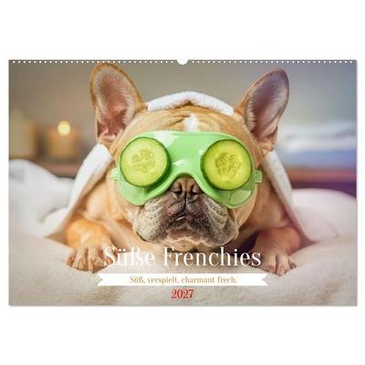 Süße Frenchies (Wandkalender 2027 DIN A2 quer), CALVENDO Monatskalender