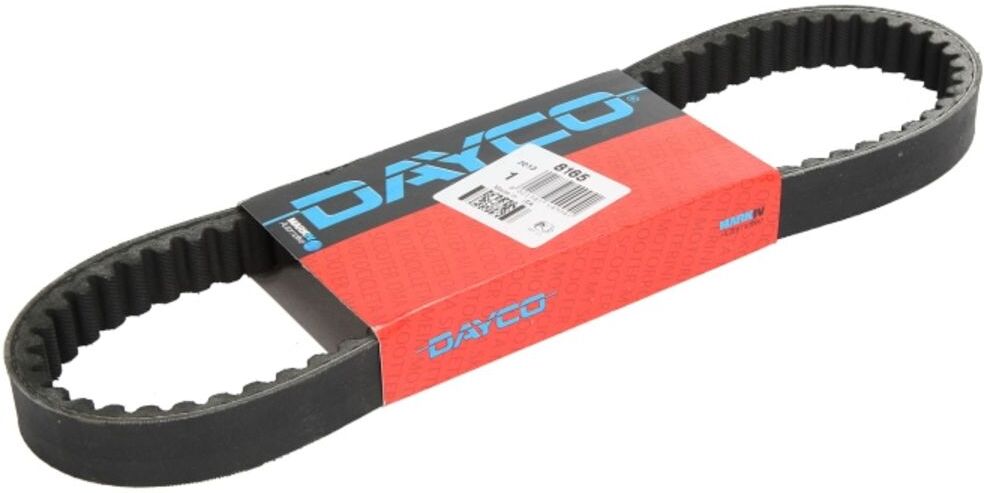 Treibriemen DAYCO DAY8165