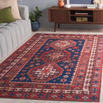 SAFAVIEH Tucson Eguskiñe Transitional Rug