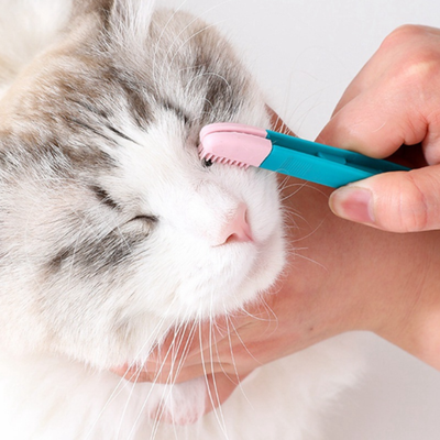 Multisell Products Hub Pet Grooming Comb For Cats & Dogs Tear Stain Remover & Cleaning Brush For Small Pets Pet Grooming Comb For Cats & Dogs Tear Stain Remover & Cleaning Brush For Small Pets