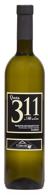 Verdicchio Classico DOC 2025 Piersanti