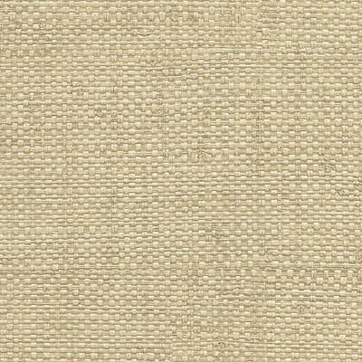 Warner Caviar Taupe Basketweave Wallpaper