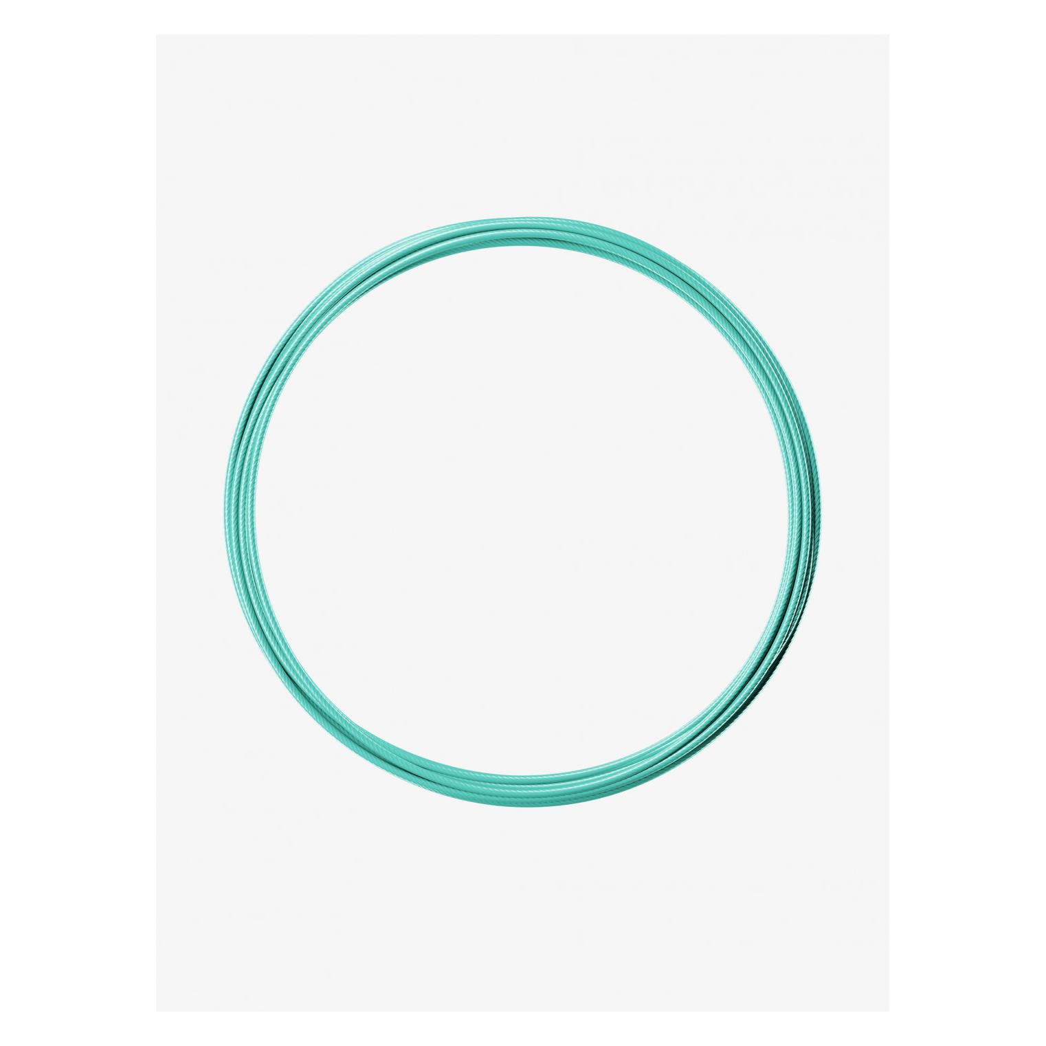 RPM Springseil Coated Cable - Coastal Teal (55786346)