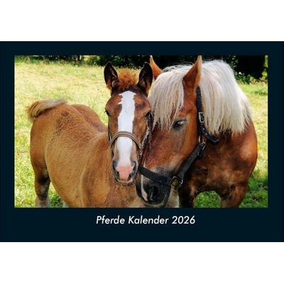Pferde Kalender 2026 Fotokalender DIN A4