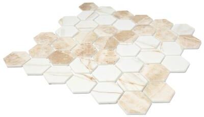 The Tile Life Eterna Hex 2 x 2 Glass Mosaic Floor and Wall Tile
