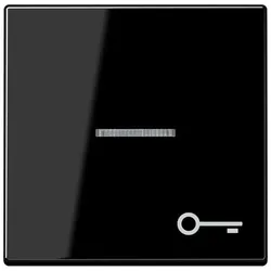 Jung Wippe Symbol Tür bel. A 590 BFKO5 T SW A590BFKO5TSW