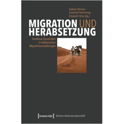 Migration und Herabsetzung, Fachbücher von Elisabeth Tiller, Franziska Teckentrup, Gabriel Deinzer