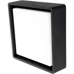 SG LEUCHTEN LED-Anbauleuchte 7W 3000K schwarz 605255 630lm Konverter DALI