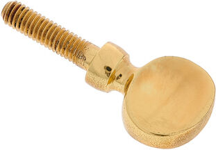 Thomann S- Neck Screw