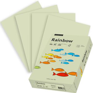 Papyrus Kopierpapier Rainbow 88042593, A4, 160g/qm, hellgrün, 250 Blatt