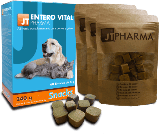 JTpharma Entero Vital Snack 60 uds x 4g