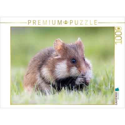 CALVENDO Puzzle Feldhamster | 1000 Teile Lege-Größe 64x48cm Foto-Puzzle für glückliche Stunden