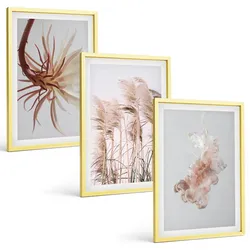 BILDER SET 3er Set - 40x60 cm Goldrahmen - Set aus Gras, Blumen und hellem Hintergrund