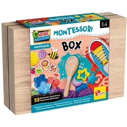Lisciani Montessori Work-Box (Französisch)