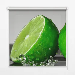 INNENROLLO - Fensterrollo - Rollo - 80x180 cm - Limetten im Wasser