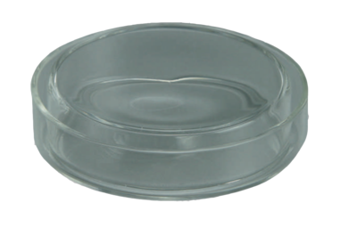 Brinkmann Medical ein Unternehmen der Dr. Junghans Medical GmbH PETRISCHALE 8 cm 1 St 01040757
