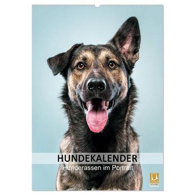 Hundekalender - Hunderassen im Portrait (Wandkalender 2027 DIN A2 hoch), CALVENDO Monatskalender