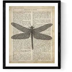 POSTER „Libelle“. A4 Schwarzer Rahmen