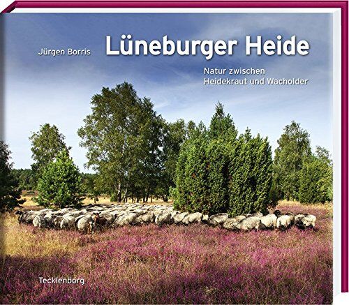 Anke Benstem - Lüneburger Heide: Natur zwischen Heidekraut und Wacholder - Preis vom 30.09.2026 09:01:18 h