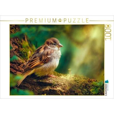 CALVENDO Puzzle Die Schönheit des Gewöhnlichen | 1000 Teile Lege-Größe 64x48cm Foto-Puzzle für glückliche Stunden