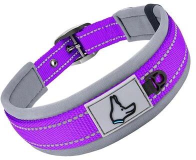 Inspire Select Reflective Padded Dog Collar Adjustable Heavy Duty Nylon Collar For Small, Medium & Large Dogs purple xl