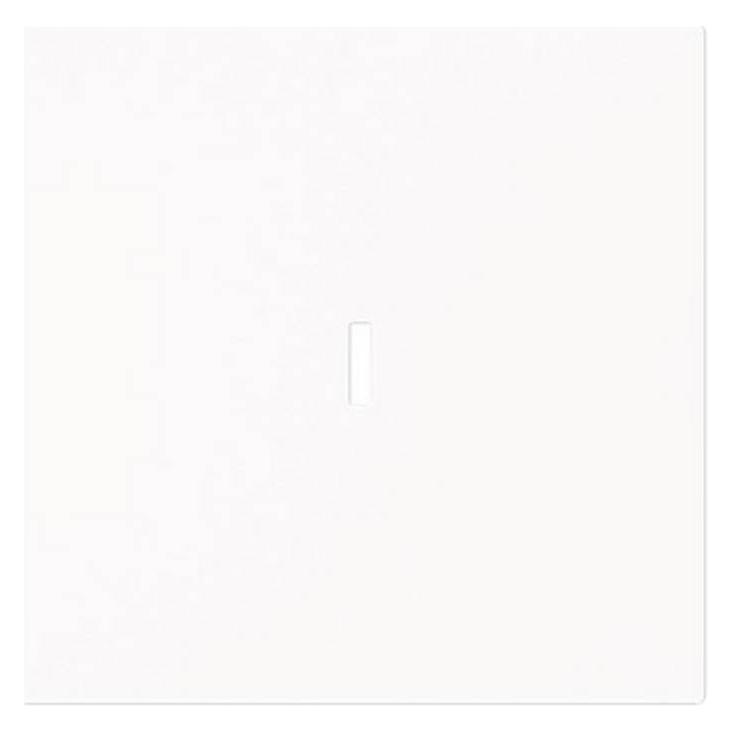 Busch-Jaeger Wippe (2CKA001751A3362)