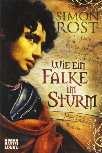 Rost, Simon X. - Wie ein Falke im Sturm: Historischer Roman - Preis vom 19.10.2026 19:33:35 h