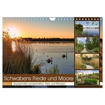 Schwabens Riede und Moore (Wandkalender 2027 DIN A4 quer), CALVENDO Monatskalender