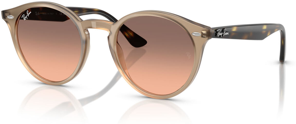 Occhiali da Sole Ray-Ban RB 2180 (678846)