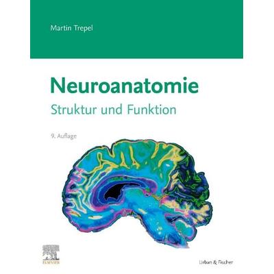 Neuroanatomie, Taschenbuch von Martin Trepel, Urban & Fischer in Elsevier, 978-3-437-41329-2