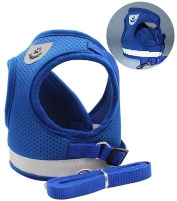 Uplift Picks Escape Proof Reflective Cat Harness And Leash Set blue l