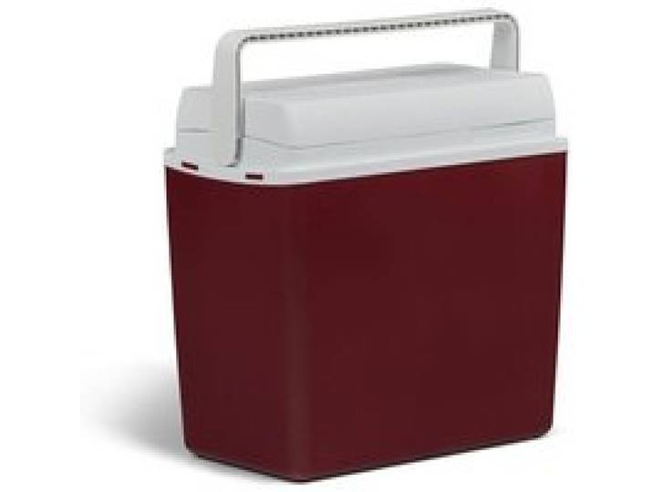 Réfrigérateur Voiture 12V Portable 21L Mini Frigo Camion Voyage Refroidissement Efficace Boissons Aliments Compact Silencieux
