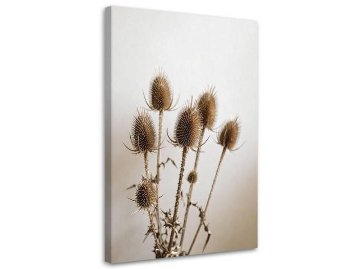 Feeby Leinwandbild Getrocknete Disteln Pflanzen in Beige 70x100cm, Baum/Pflanze/Natur, Rechteckig, 70x100 cm, Bilder & Rahmen, Bilder, Leinwandbilder