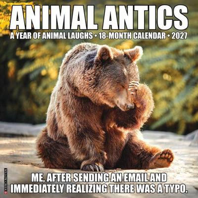 Animal Antics 2027 12 X 12 Wall Calendar