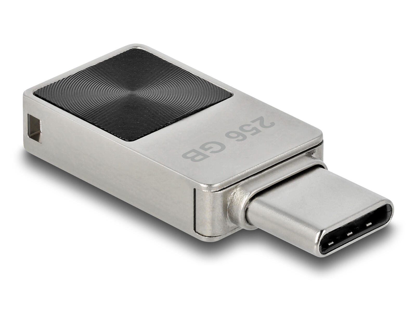 DeLOCK Mini USB-C Speicherstick 256 GB 54009